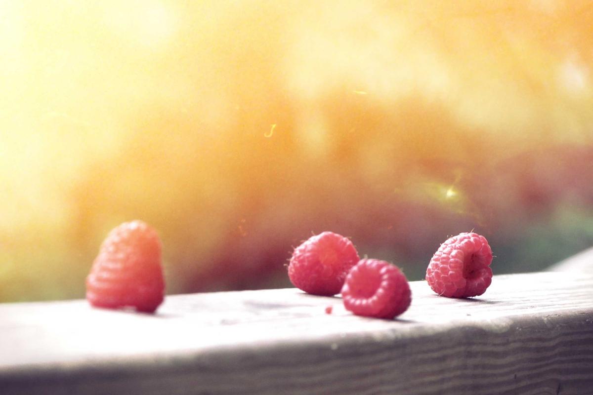 TLDN Tebar Dividen Rp701 Miliar, Simak Jadwalnya