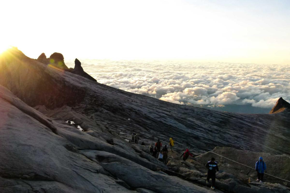 BRI Bagikan Tips Investasi Reksadana Aman untuk Pemula