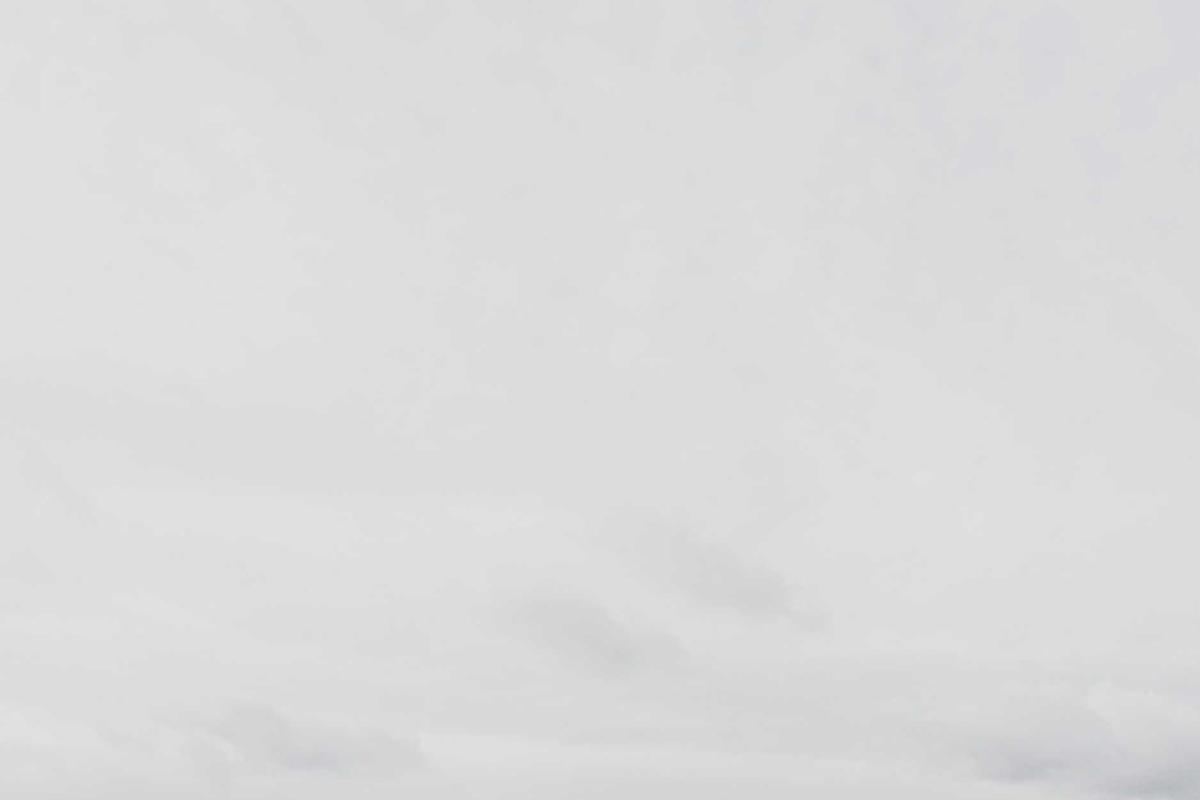 Apa Itu Live Trading? Cara Nonton & Manfaatnya untuk Investasi Saham AS