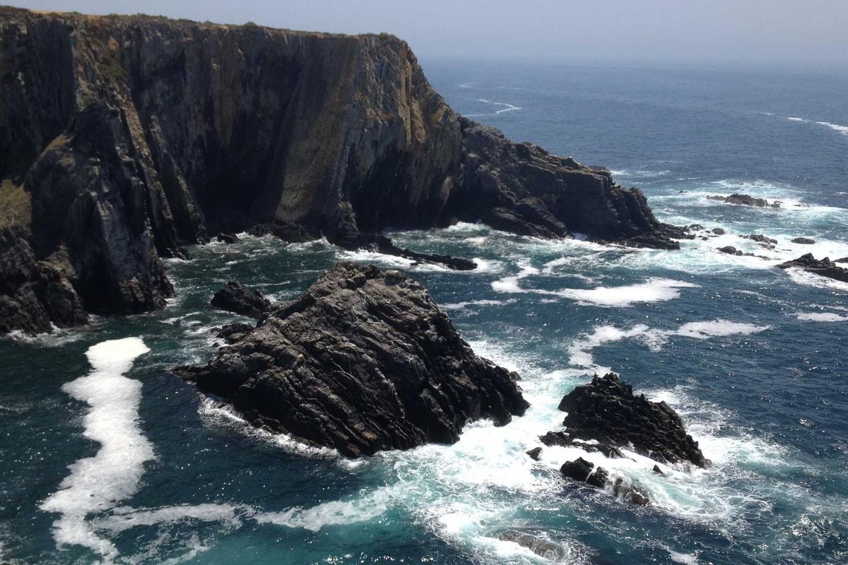 Strategi Investasi Saham Sektor Konsumsi Menjelang Akhir April