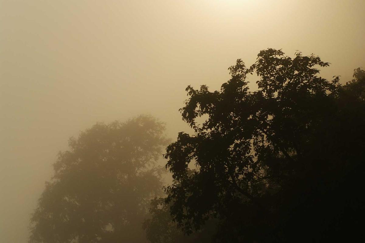 Apa Itu Live Trading? Cara Nonton & Manfaatnya untuk Investasi Saham AS