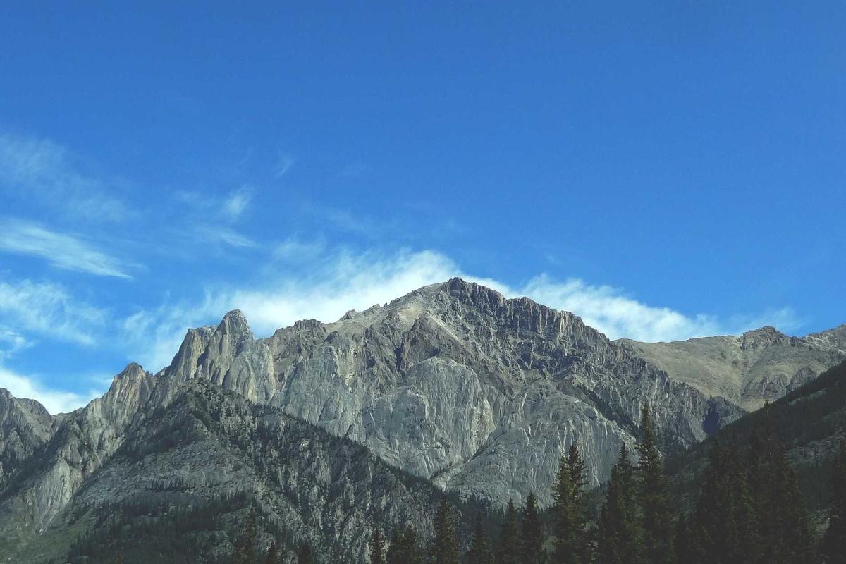 Apa Itu Live Trading? Cara Nonton & Manfaatnya untuk Investasi Saham AS