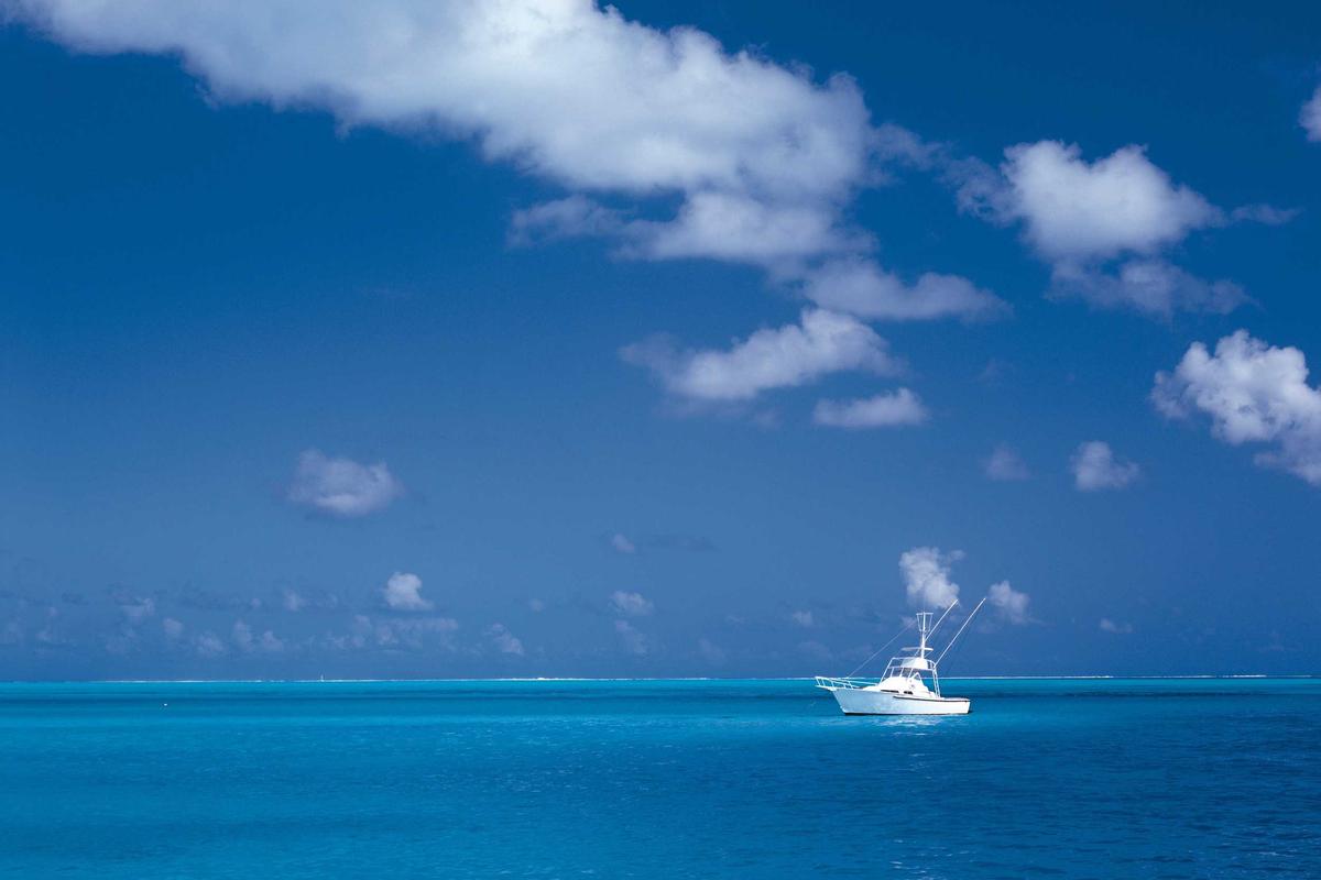 Apa Itu Live Trading? Cara Nonton & Manfaatnya untuk Investasi Saham AS