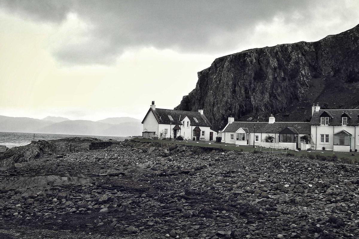 Apa Itu Live Trading? Cara Nonton & Manfaatnya untuk Investasi Saham AS