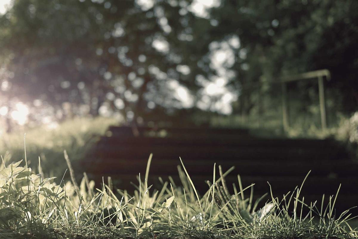 Yield 4x Bunga Deposito, Ini Jadwal Pembayaran Dividen Saham ULTJ Berjumlah Rp 1,35 T