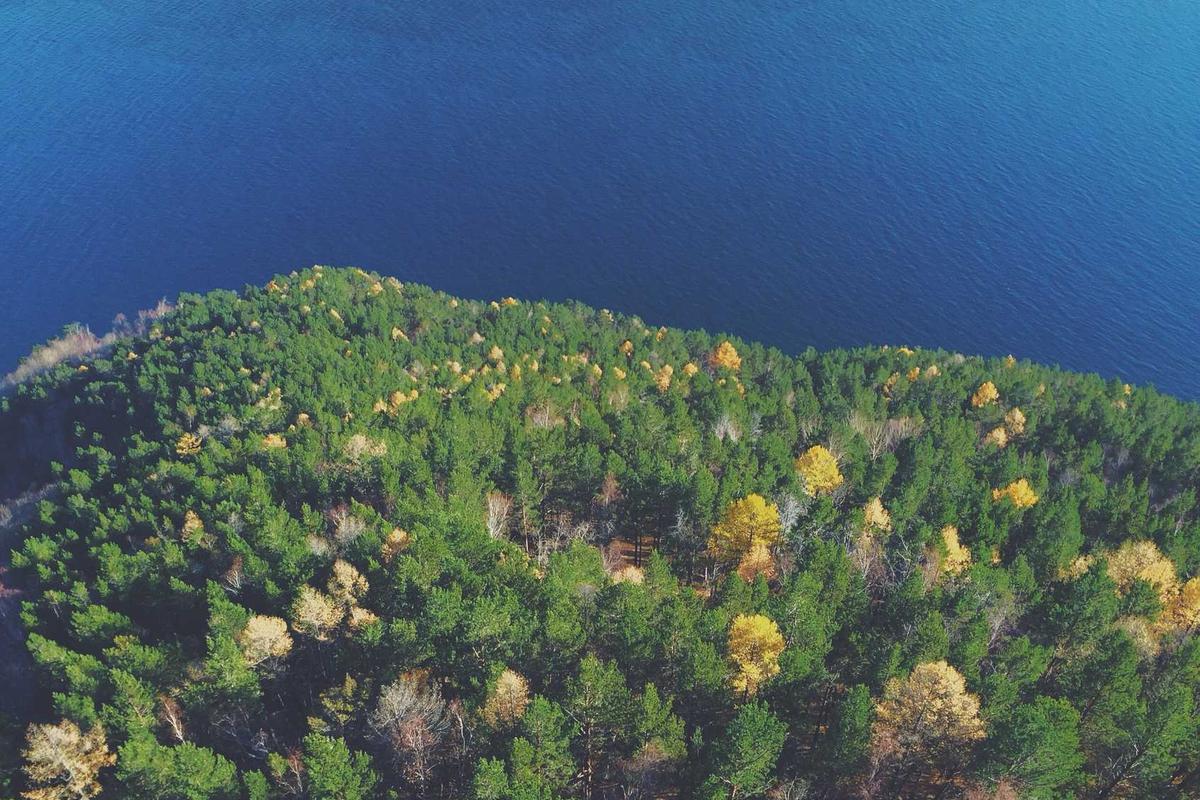 Chitose (CINT) Siap Bagi Dividen dengan Yield 6,26%, Ini Jadwal Lengkapnya