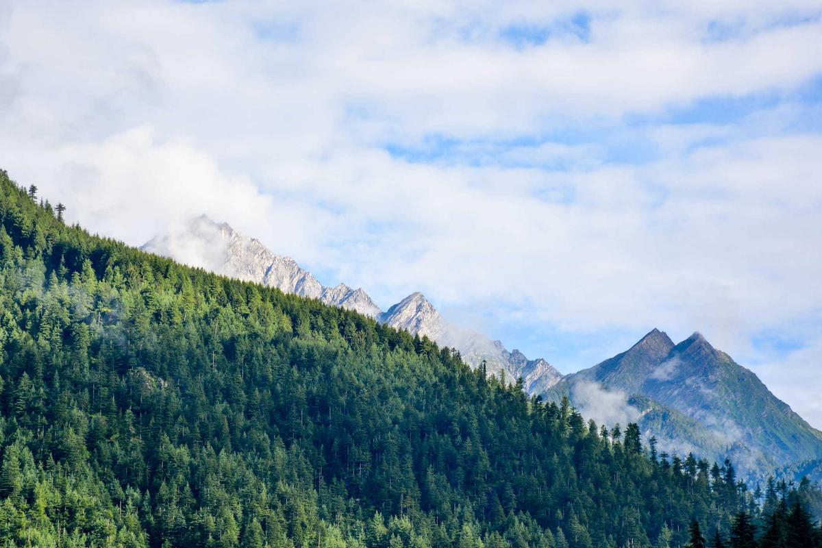 S&P 500 Tokenized Stock (SPYX): Investasi Saham AS Kini Semudah Ini!