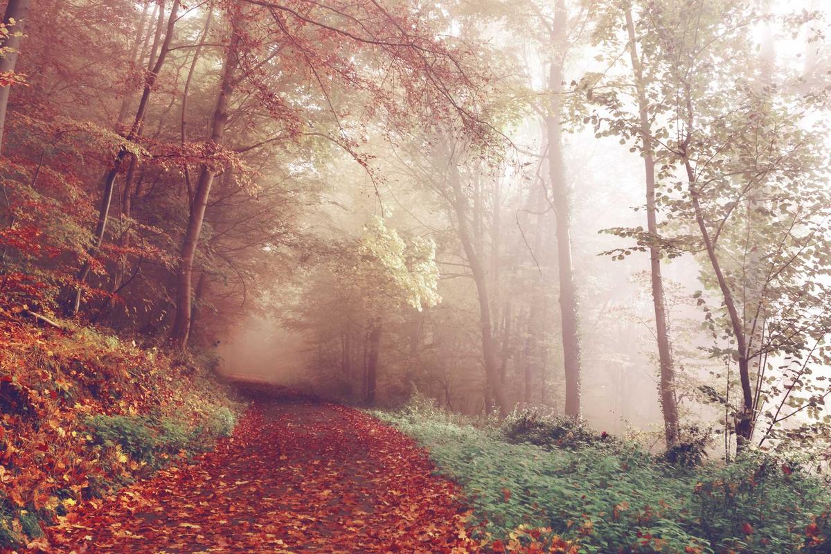 Broker Saham Terbaik, IPOT Hadirkan LADI Real Time Tanpa Delay